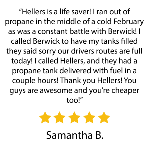 Google Reviews_Website_Lake Ariel-31